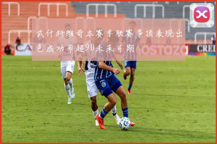 武什科维奇本赛季联赛争顶表现出色成功率超90未来可期