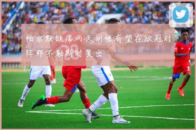 帕尔默缺席两天训练有望在欧冠对阵那不勒斯时复出